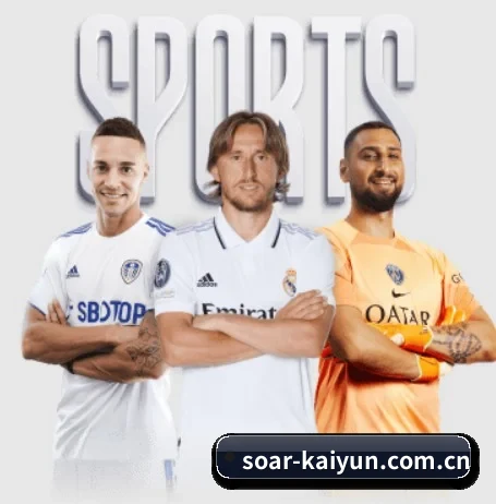 kaiyun APP 界面